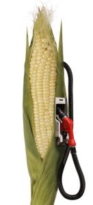Flex fuel is a combination of gasoline and methanol or ethanol. 