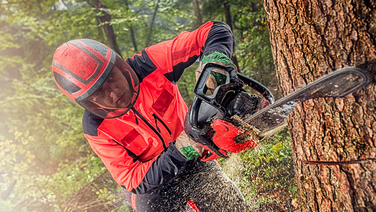 5 Expert Chainsaw Maintenance Tips