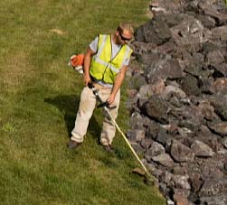 Just the Facts: The ECHO String Trimmer Technical Study