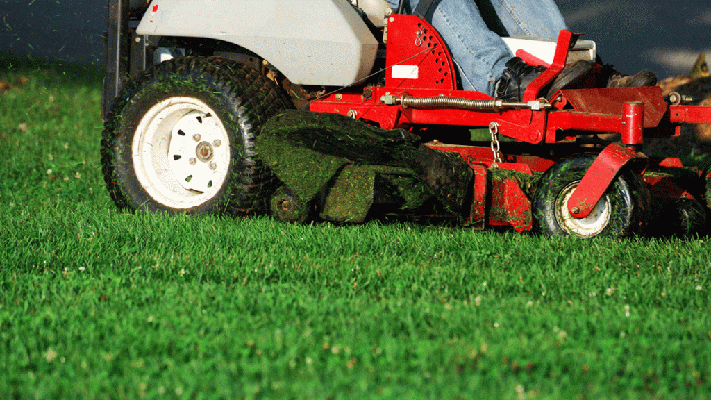 Lawnmower