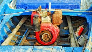 The Importance of Antioxidants in Marine Oil
